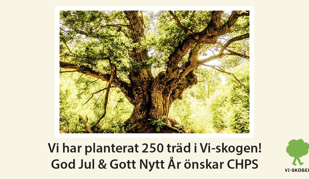 God Jul & Gott Nytt År!